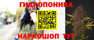 скорость Лесосибирск