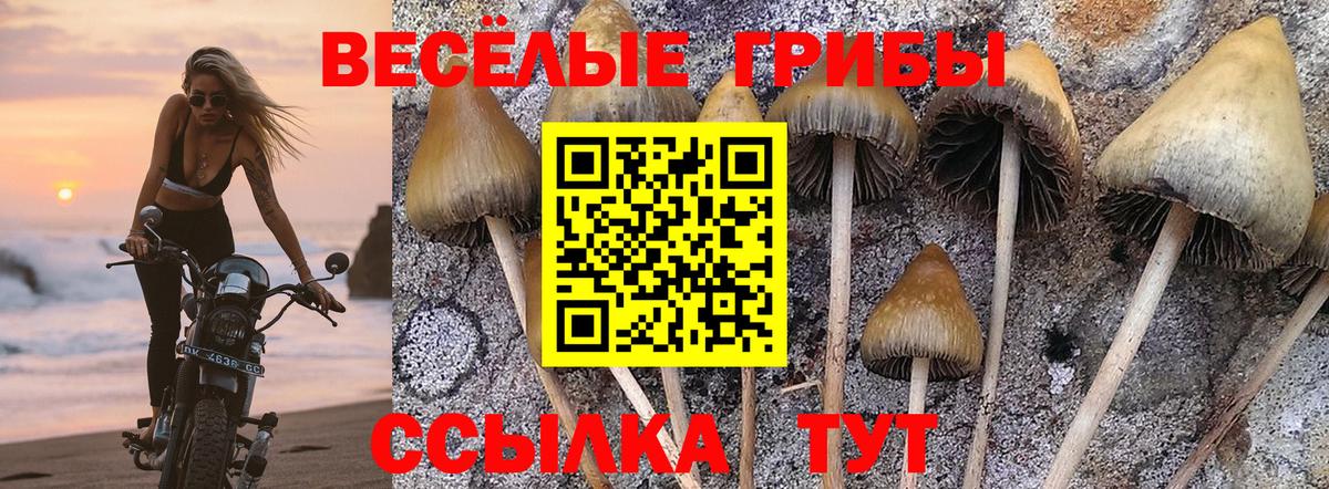 Воронеж  Галлюциногенные грибы MAGIC MUSHROOMS  Вход с VPN 